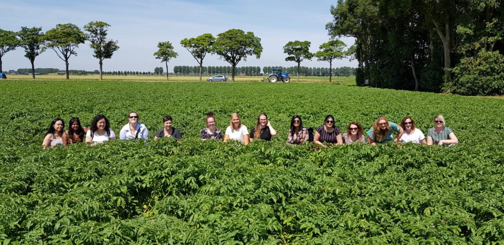 Boerderij Chips Fietsen In De Hoeksche Waard Bloeiende Akkerranden