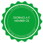 Global A.P. Member logo